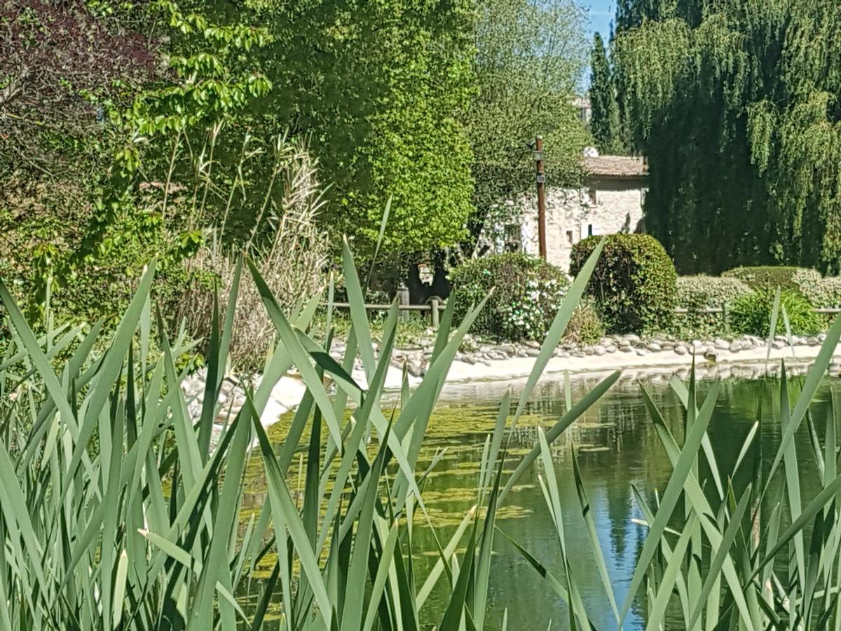 La Campagne St Lazare - Restaurant Chambres D'Hotes Piscine & Spa Forcalquier Exteriér fotografie